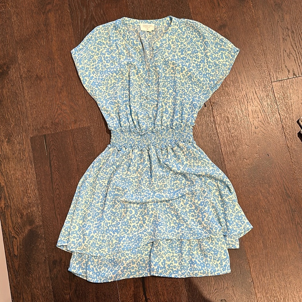 Blue Floral Sienna Sky Mini Ruffle Dress